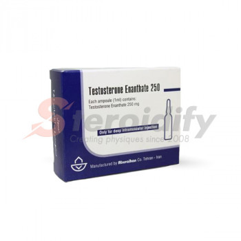 Testosterone enanthate 250 mg